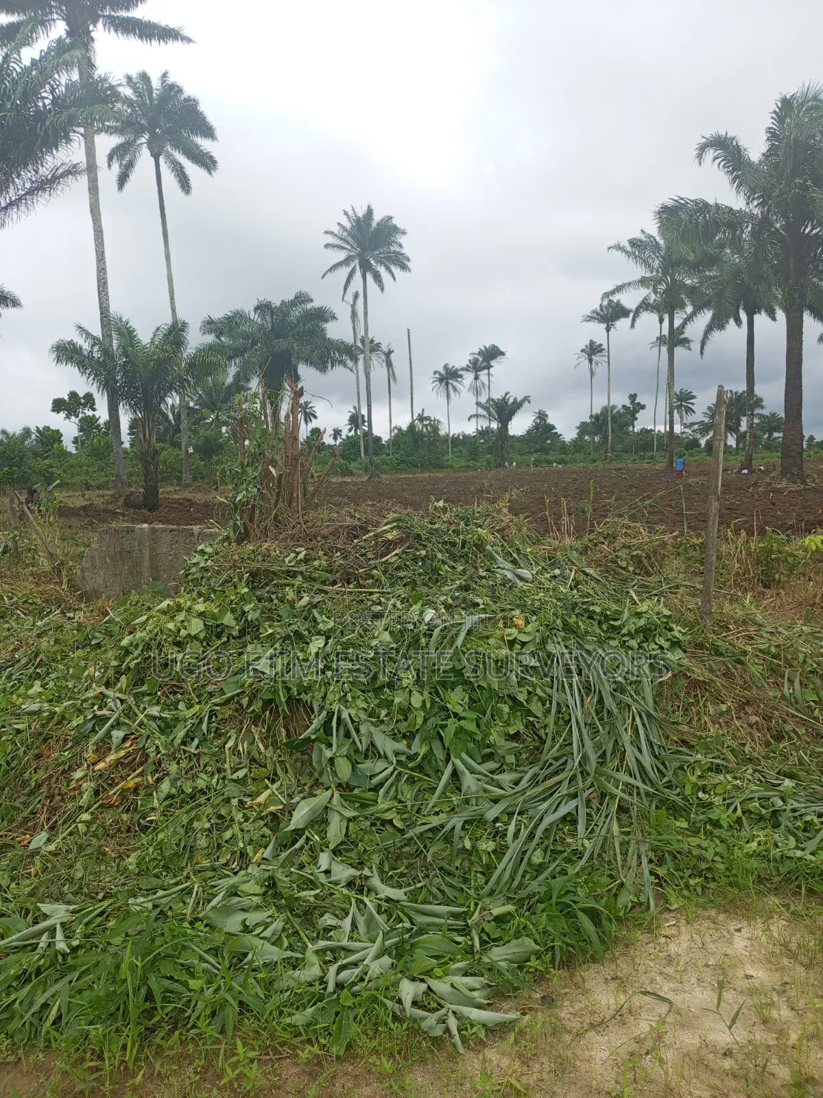 Forty-Two (42) Plots of Land for Sale