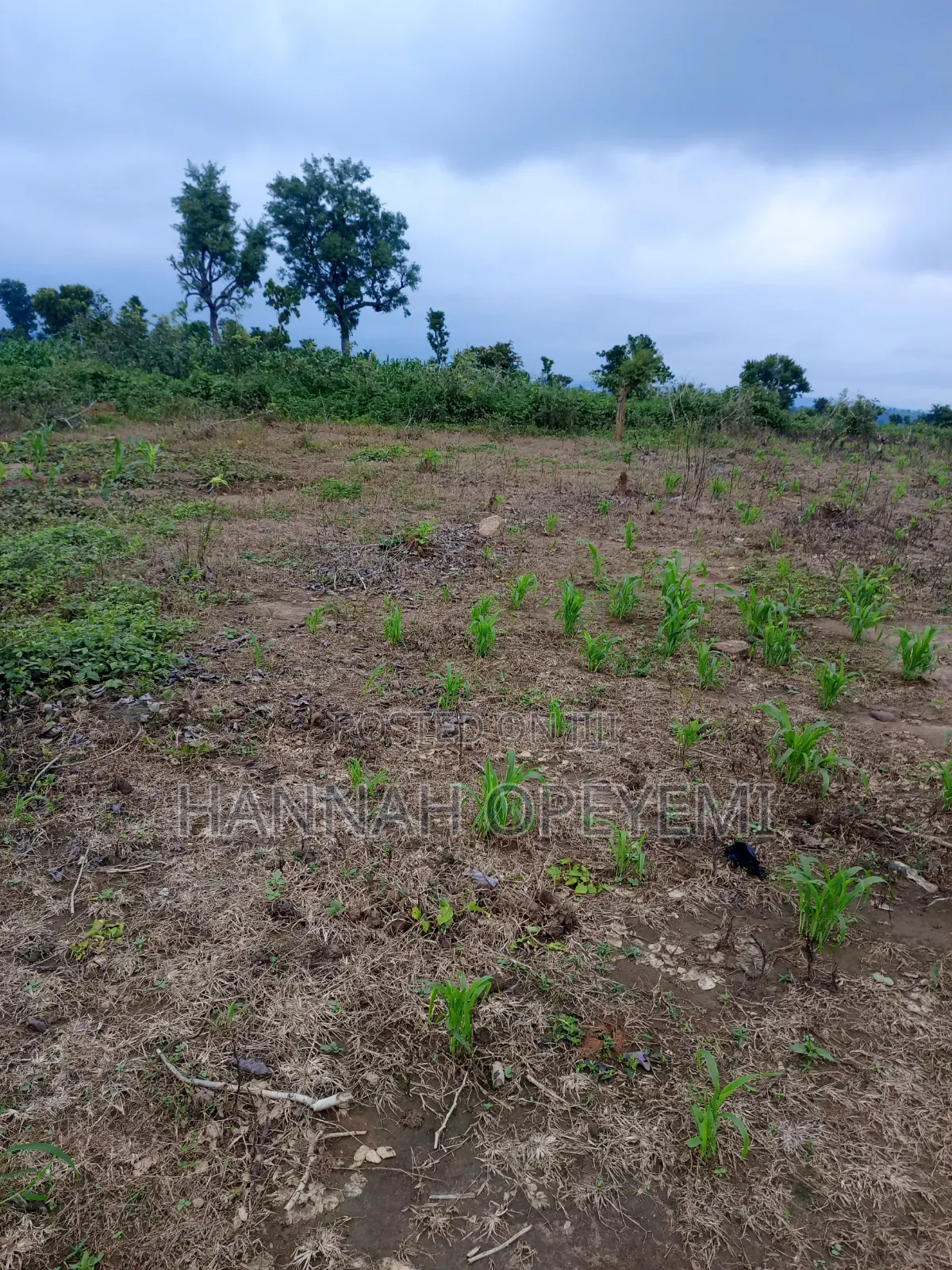 Estate Plot for Sale