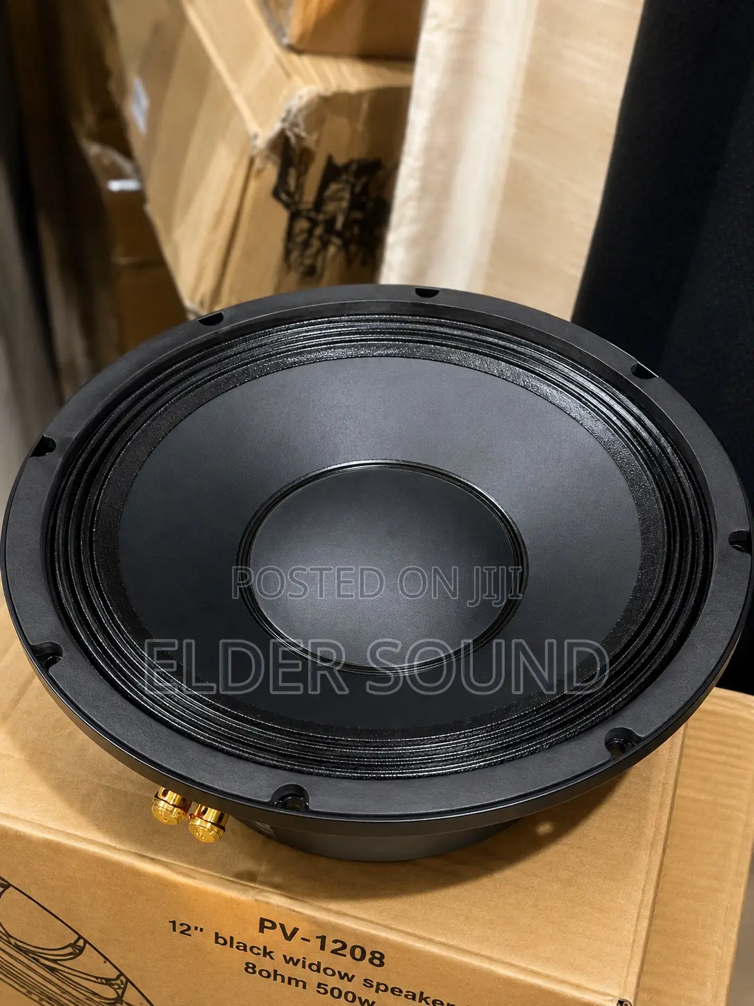 Line Array 12 Inches Speaker (100 Coil)