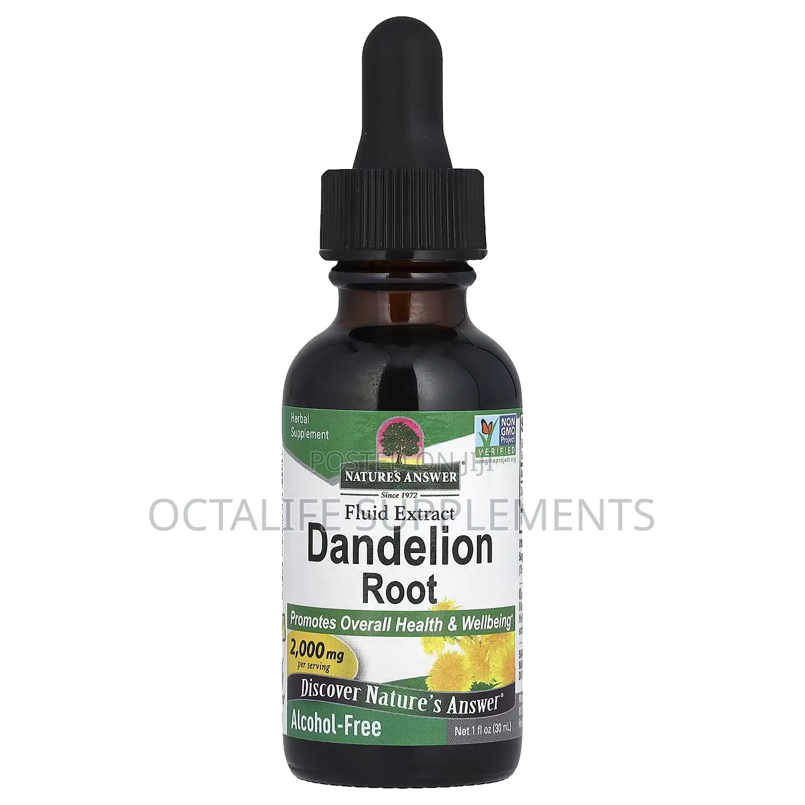 Fluid Extract, Dandelion Root, Alcohol Free, 2,000 Mg, 1 Fl Oz (30 Ml)