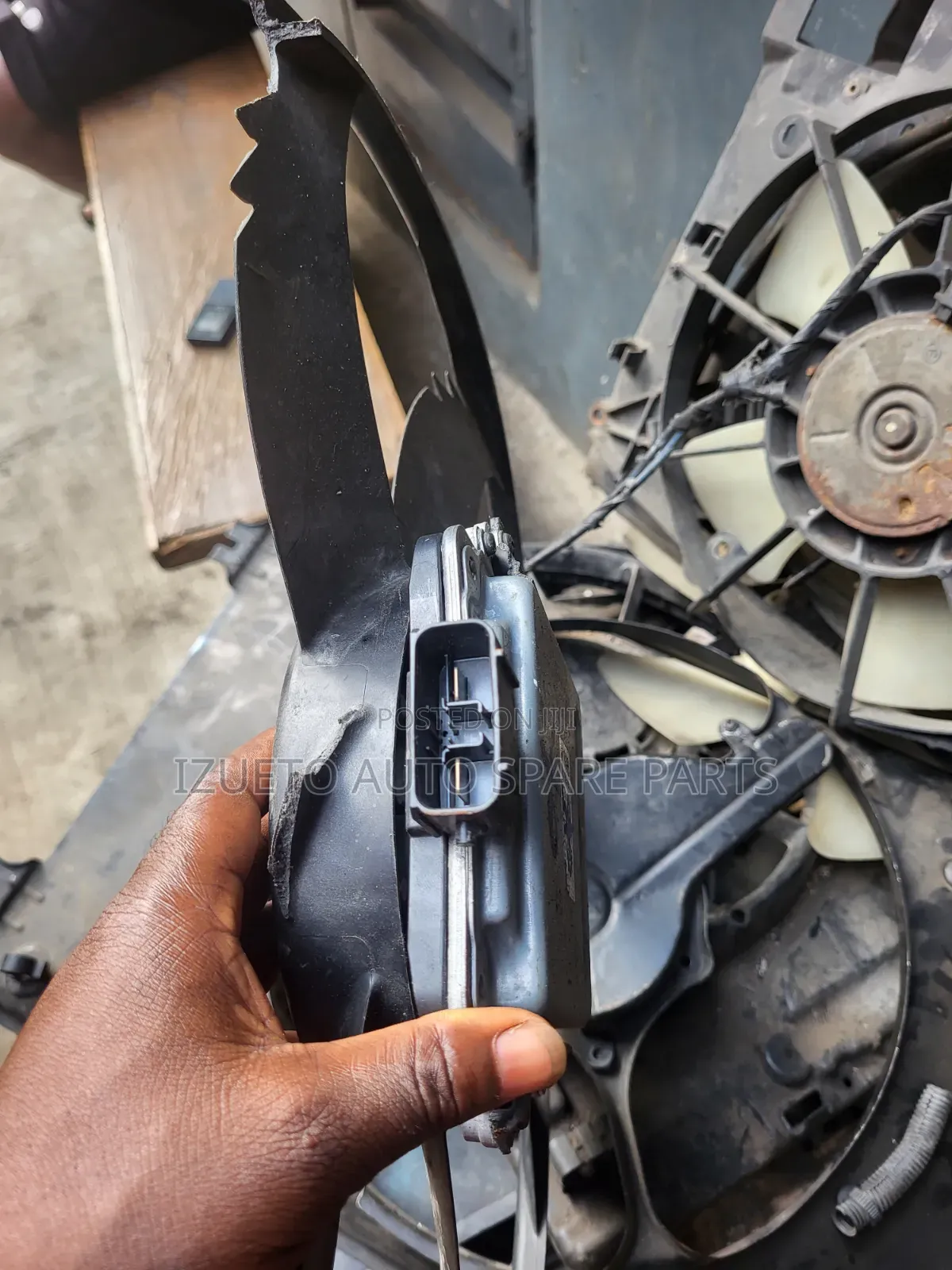 Radiator Fan