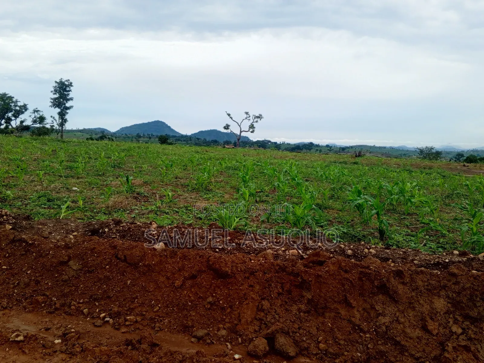 Estate Plots for Both Investors and Private Residential Purpose