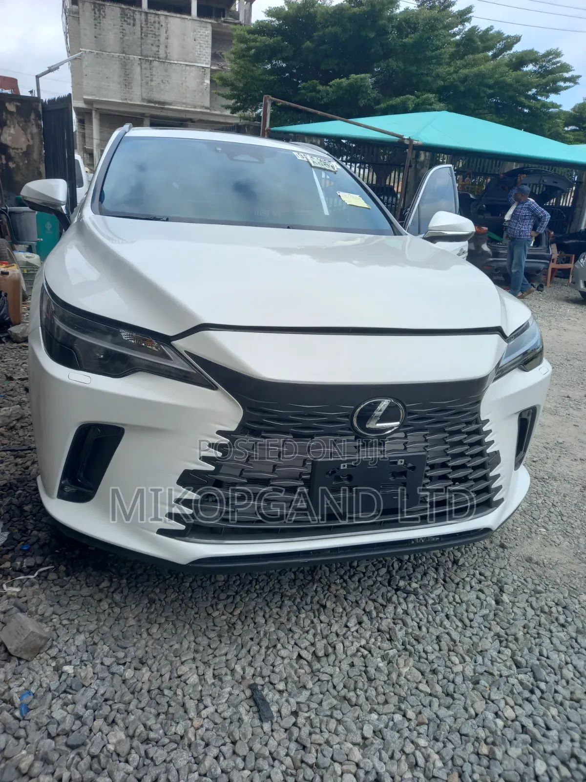 Lexus RX 2025 White