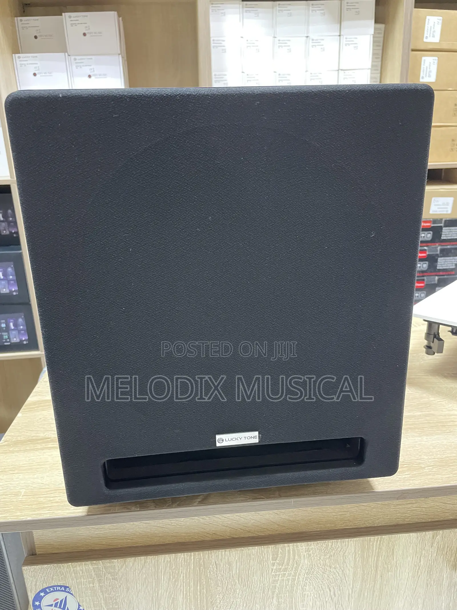 Lucky Tone 12 Inches Active Subwoofer