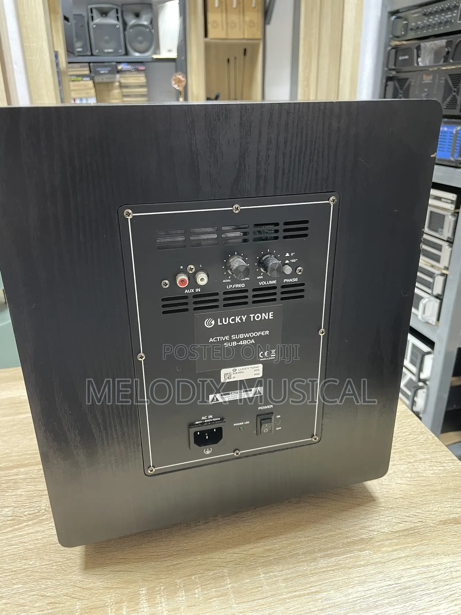 Lucky Tone 12 Inches Active Subwoofer