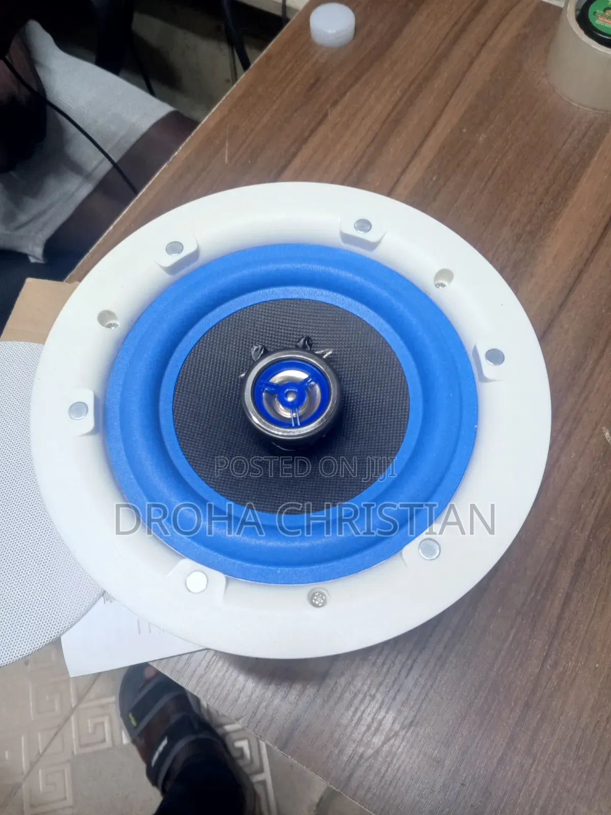 2way High Definition Hi-Fi Professional Ceiling Speaker