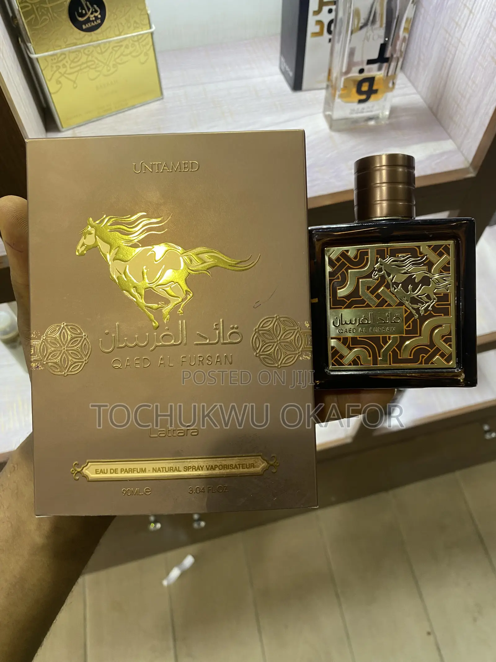 Qaed Al Fursan Untamed