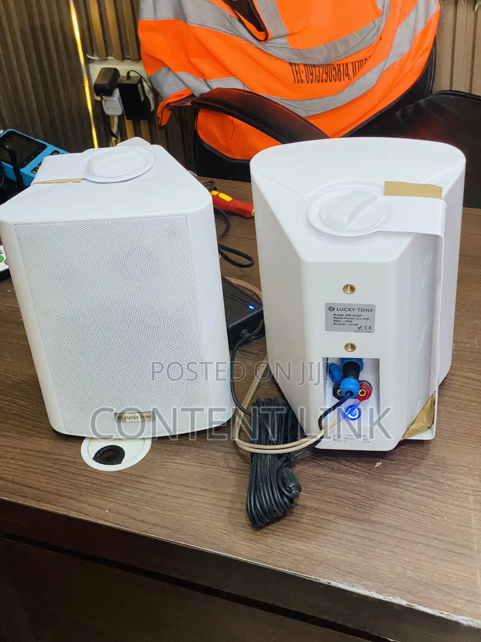 Outdoor Bluetooth Hanging Speakers