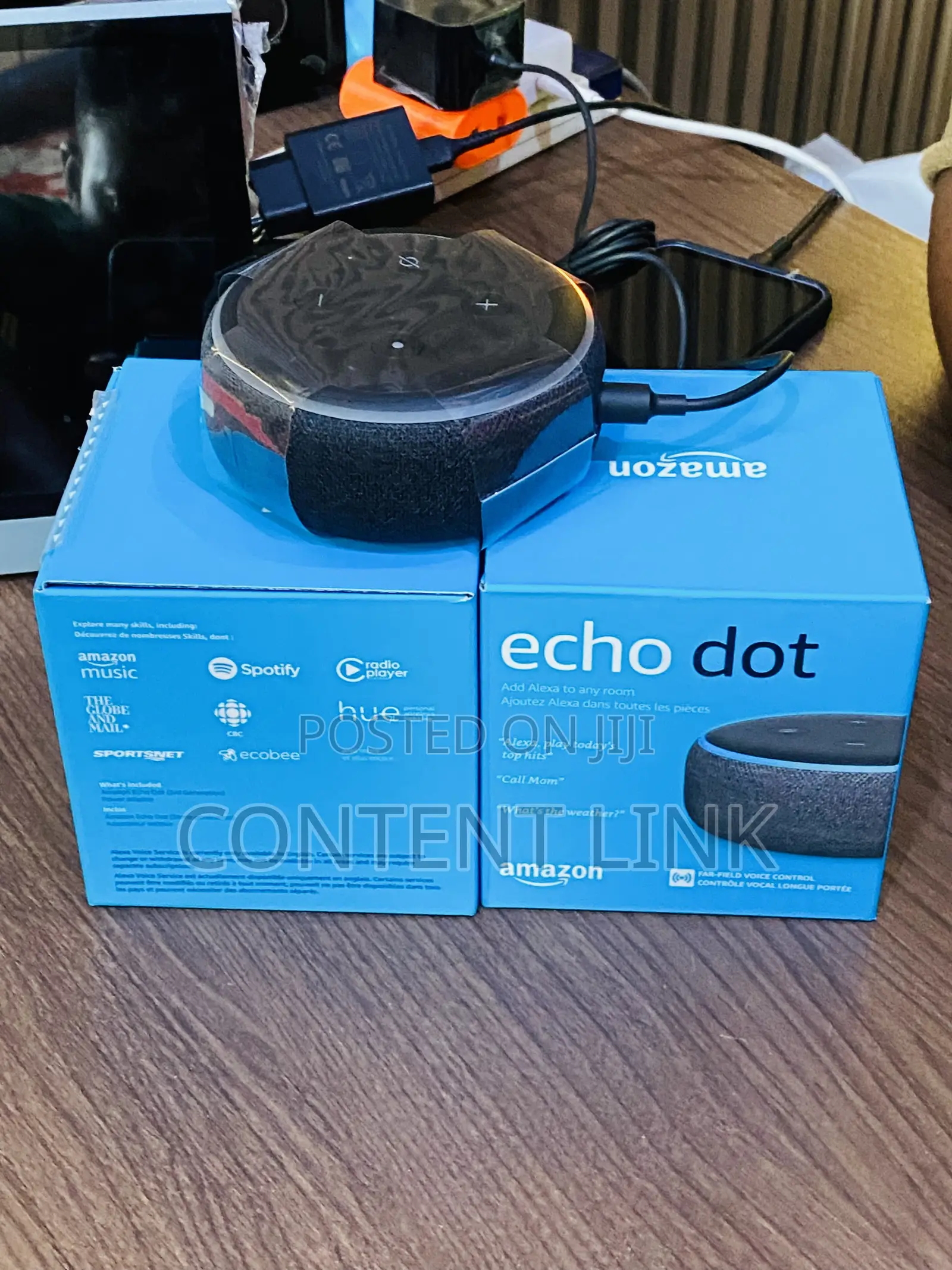 Ecko Dot Alexa Voice Command