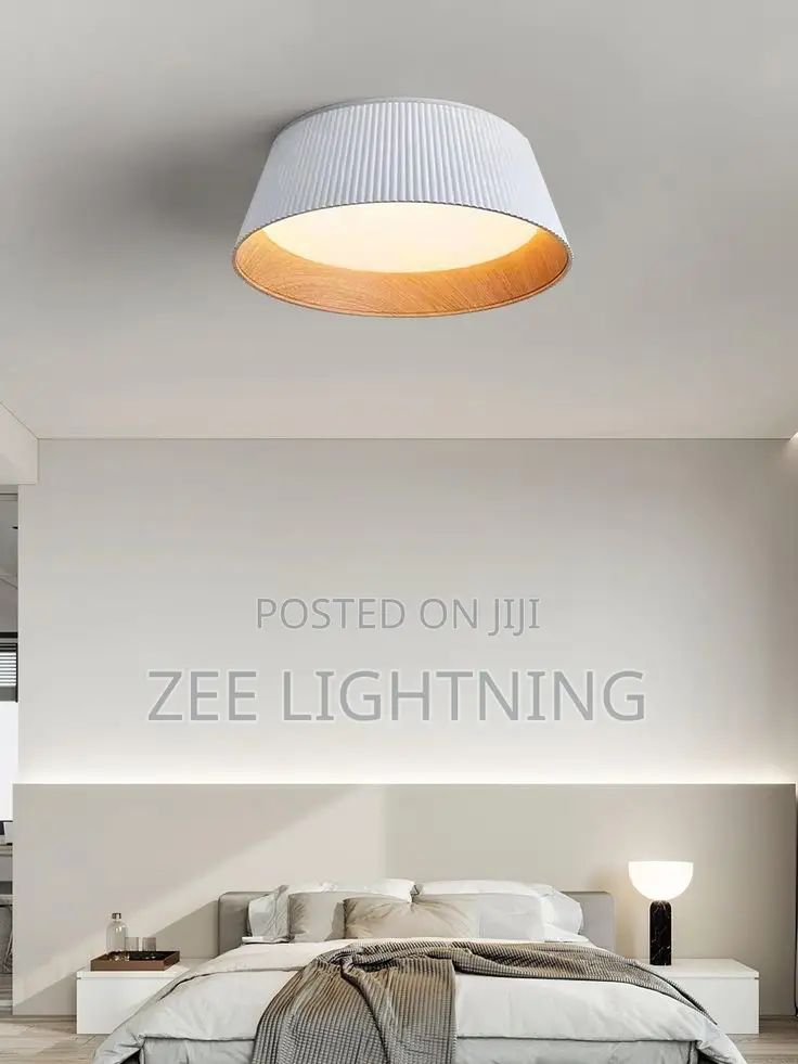 Ceiling Flush and Drop Pendant Light