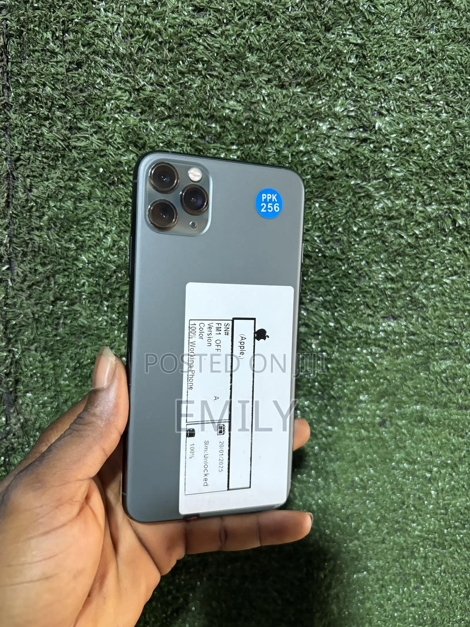 Apple iPhone 11 Pro Max 256 GB Blue