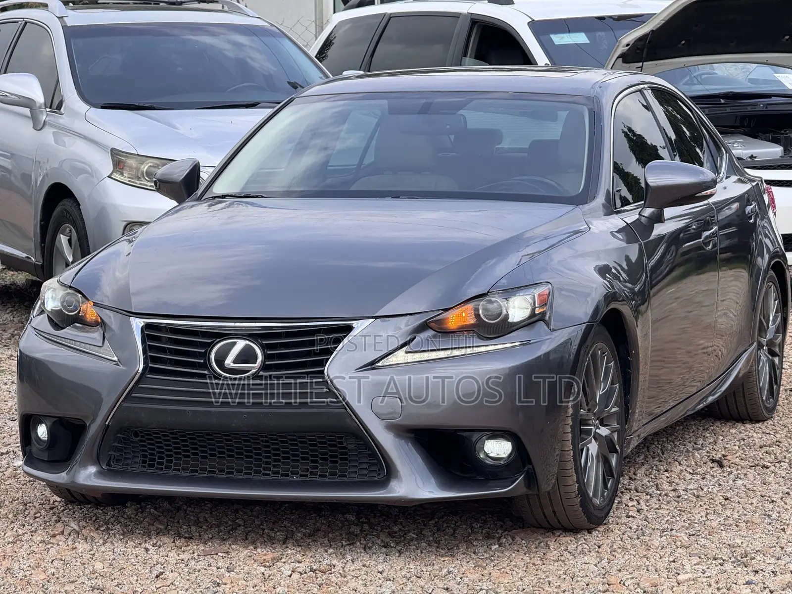 Lexus IS 250 4WD 2014 Gray