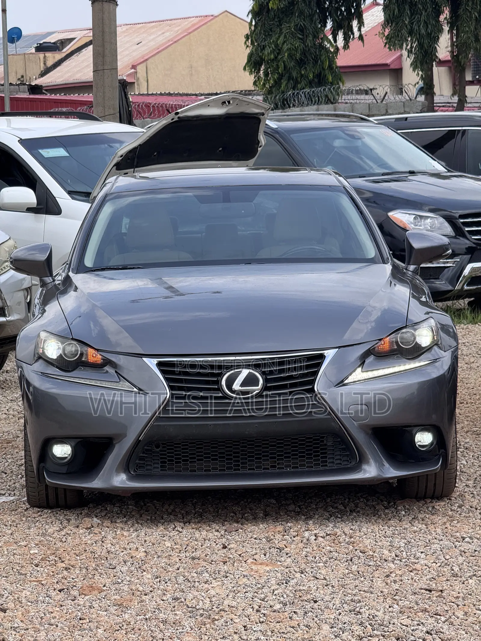 Lexus IS 250 4WD 2014 Gray