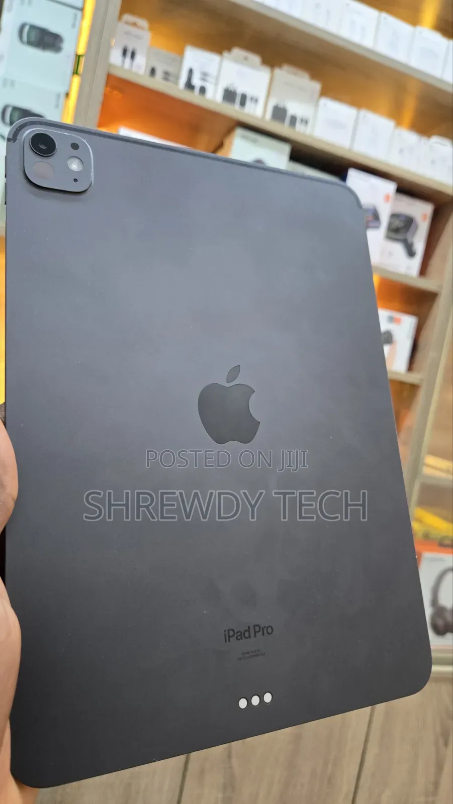 Apple iPad Pro 11 (2024) 256 GB Gray