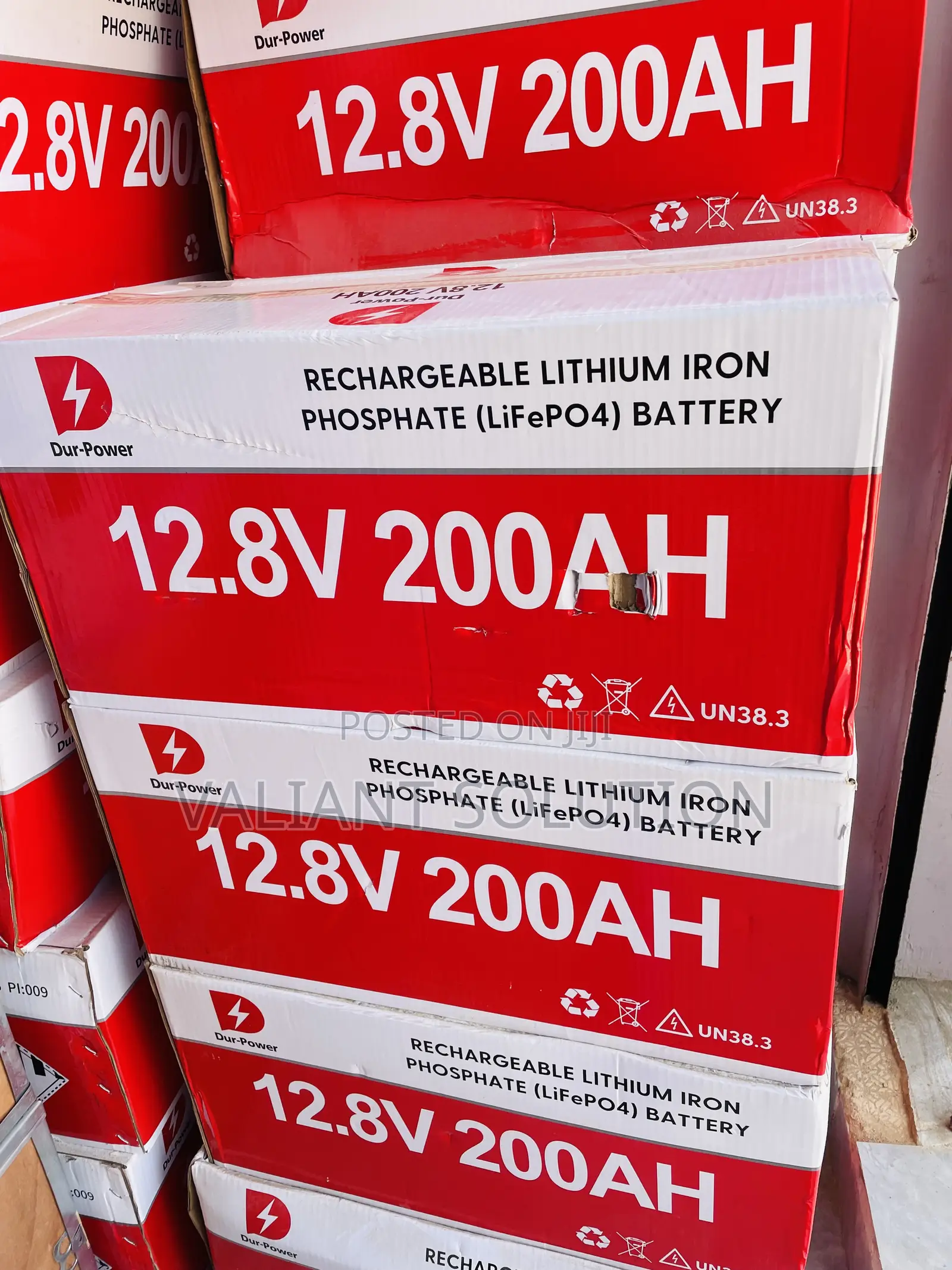 Durpower 12v 200ah Lithium Battery