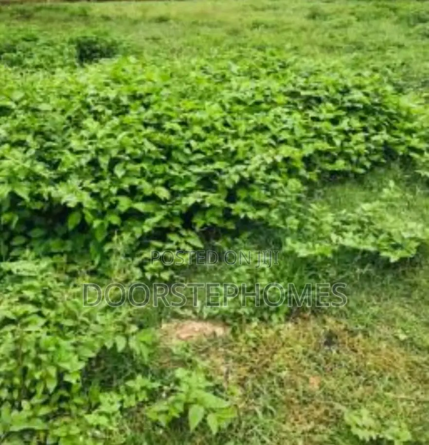 1200Sqm Residential Land in Kyami
