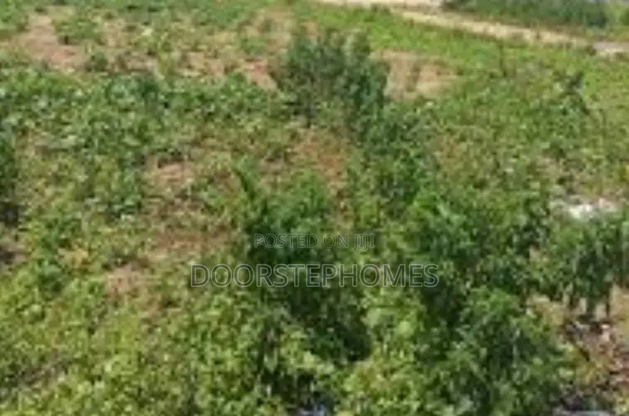 1200Sqm Residential Land in Kyami