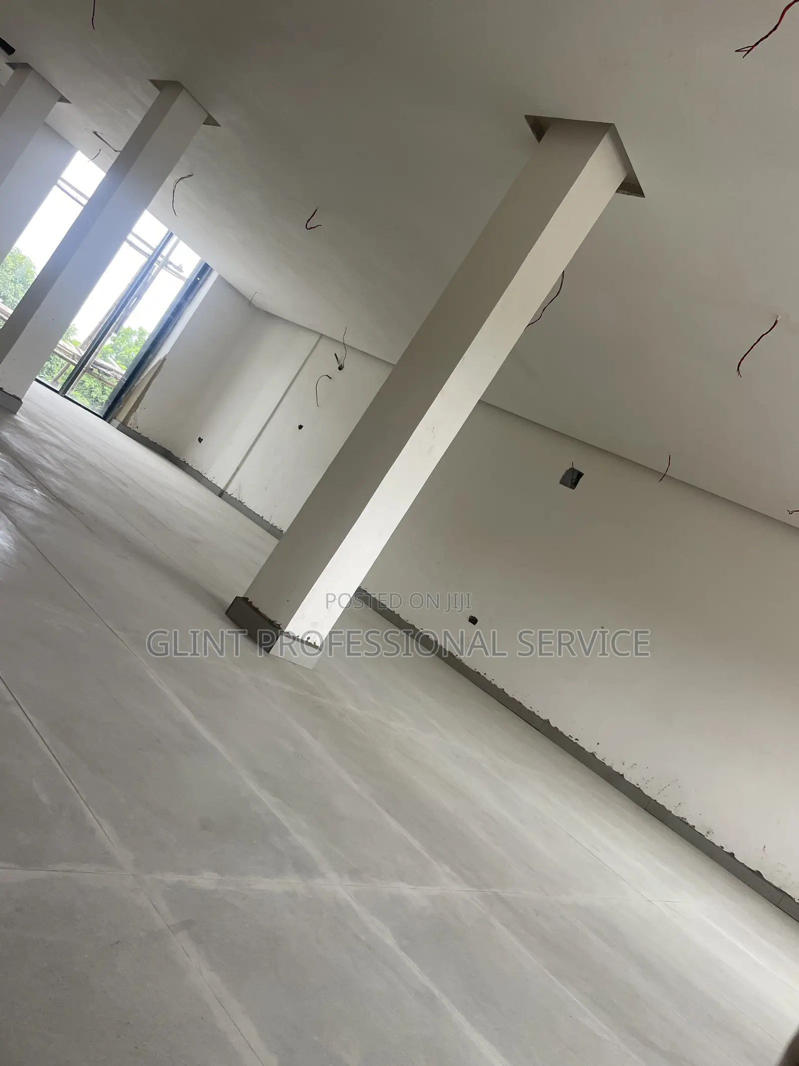 Ceiling and Wall Screeding and Painting