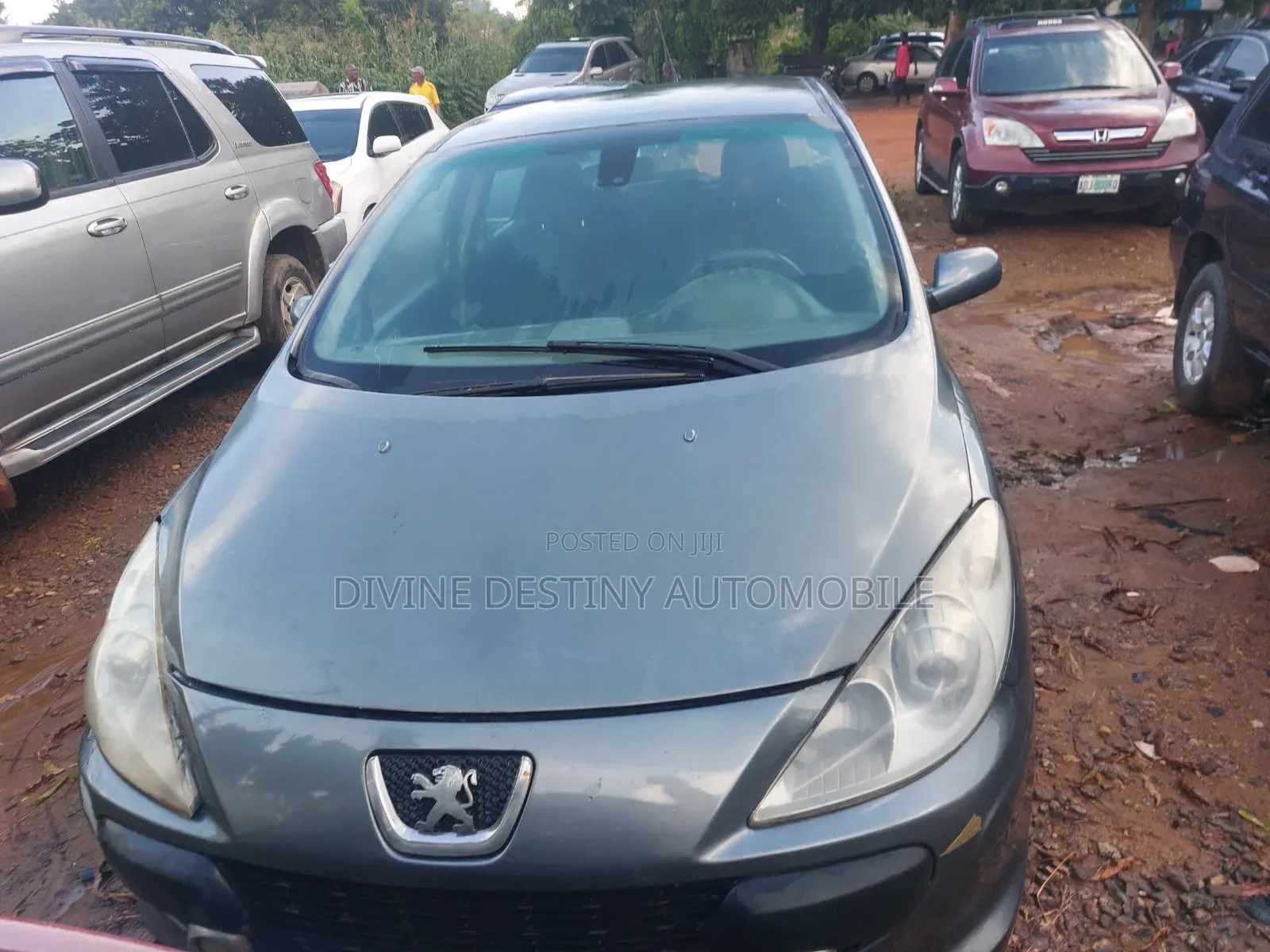 Peugeot 307 2007 Gray