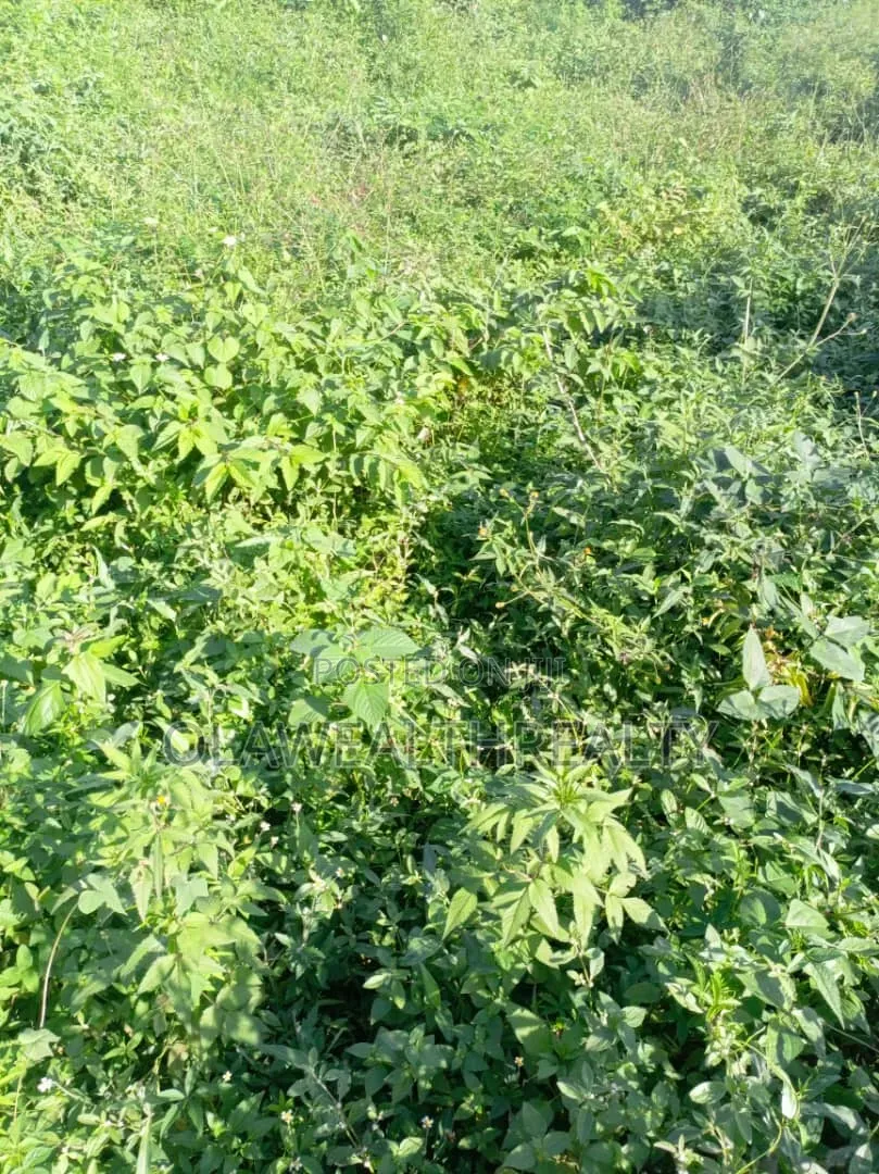 1,200sqm Commercial Land at Wuse 2