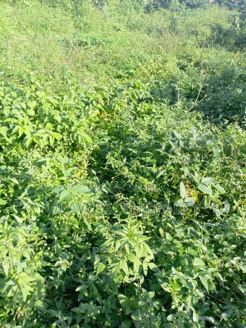 1,200sqm Commercial Land at Wuse 2
