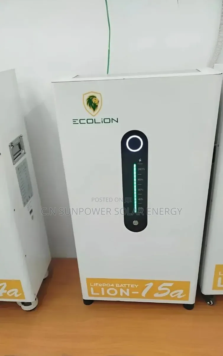 7.6kwh/48v Ecolion Lithium-Iron Phosphate Energy Storage Battery