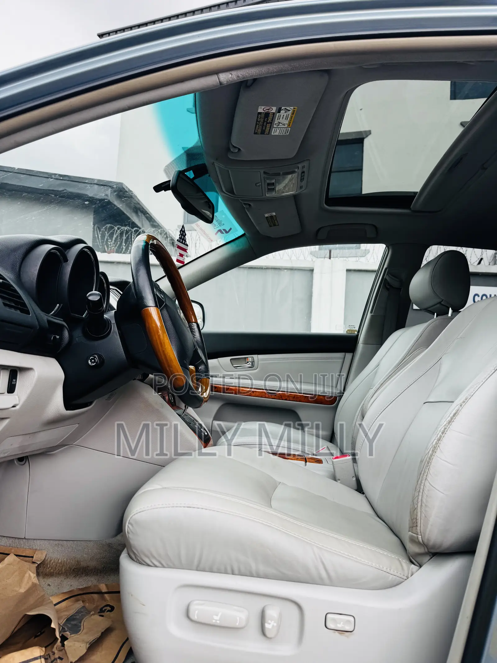 Lexus RX 2009 Blue