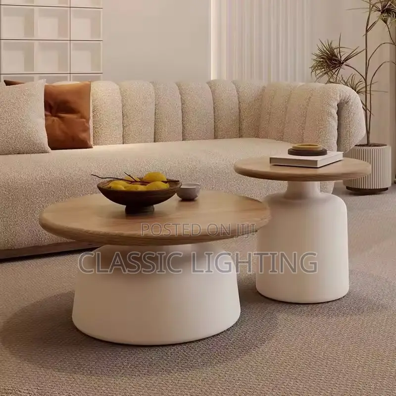 Modern Nordic Coffee Table Premium Aesthetic Elegant Design Center