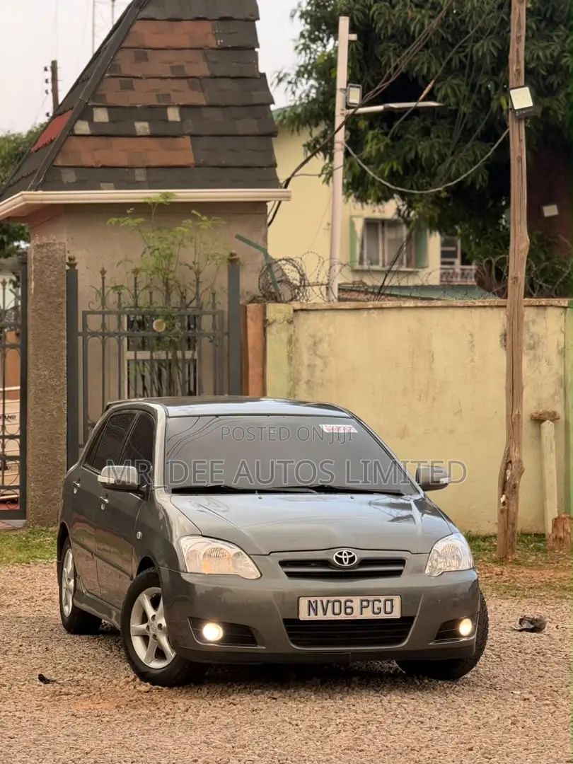 Toyota Corolla 2007 Gray