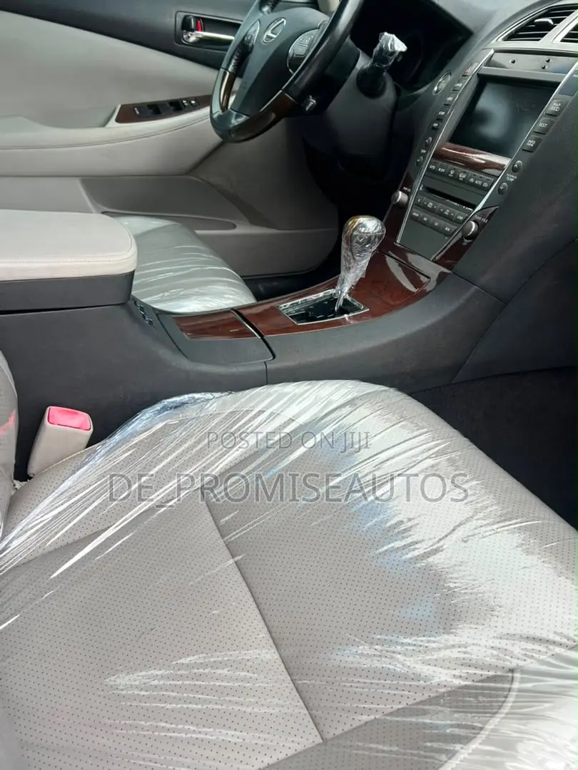 Lexus ES 350 2010 Gray