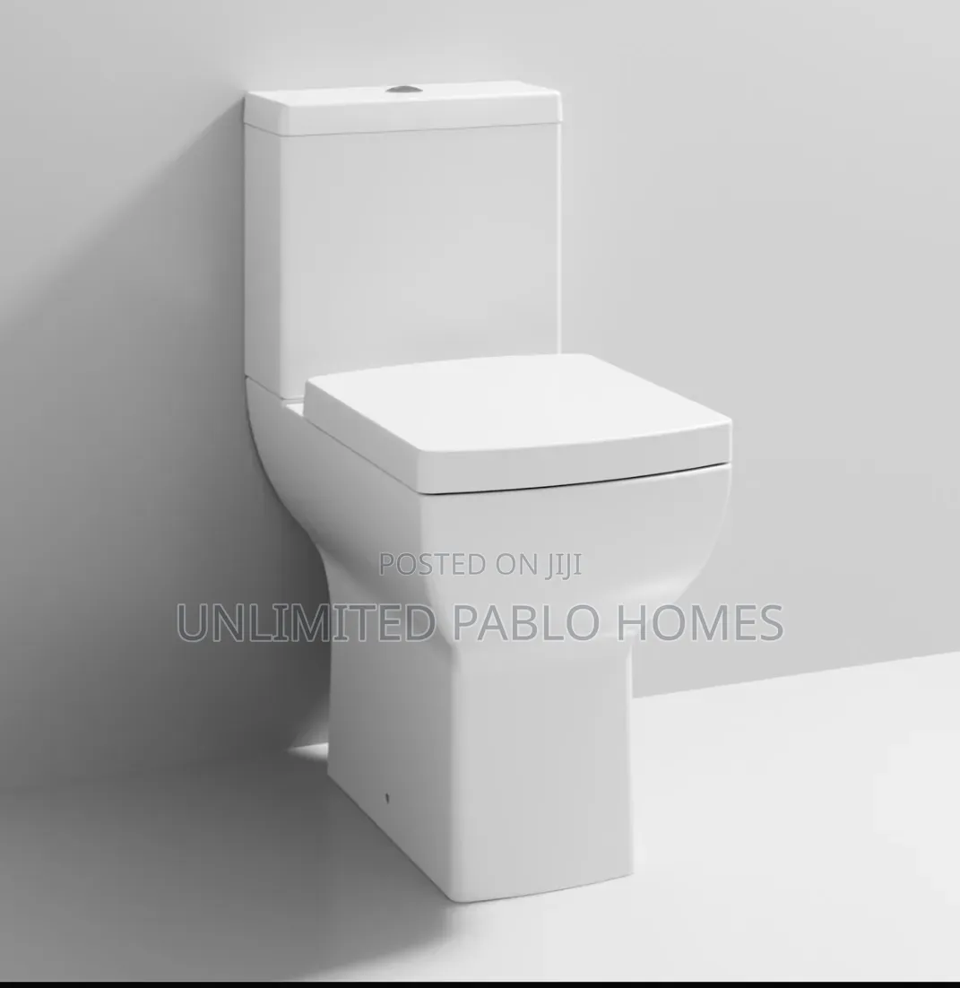 High-Quality Executive One-Piece Water Closet Set