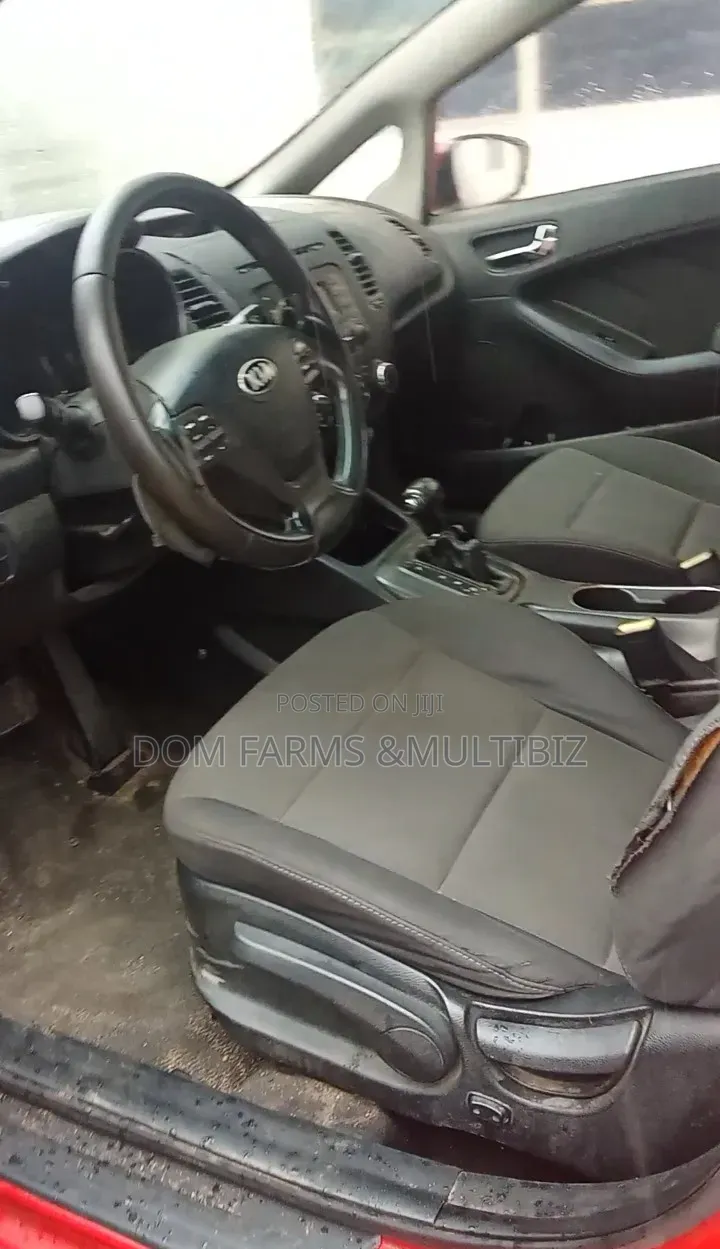 Professional Car Interior Detailing | Deep Cleaning Stain Removal