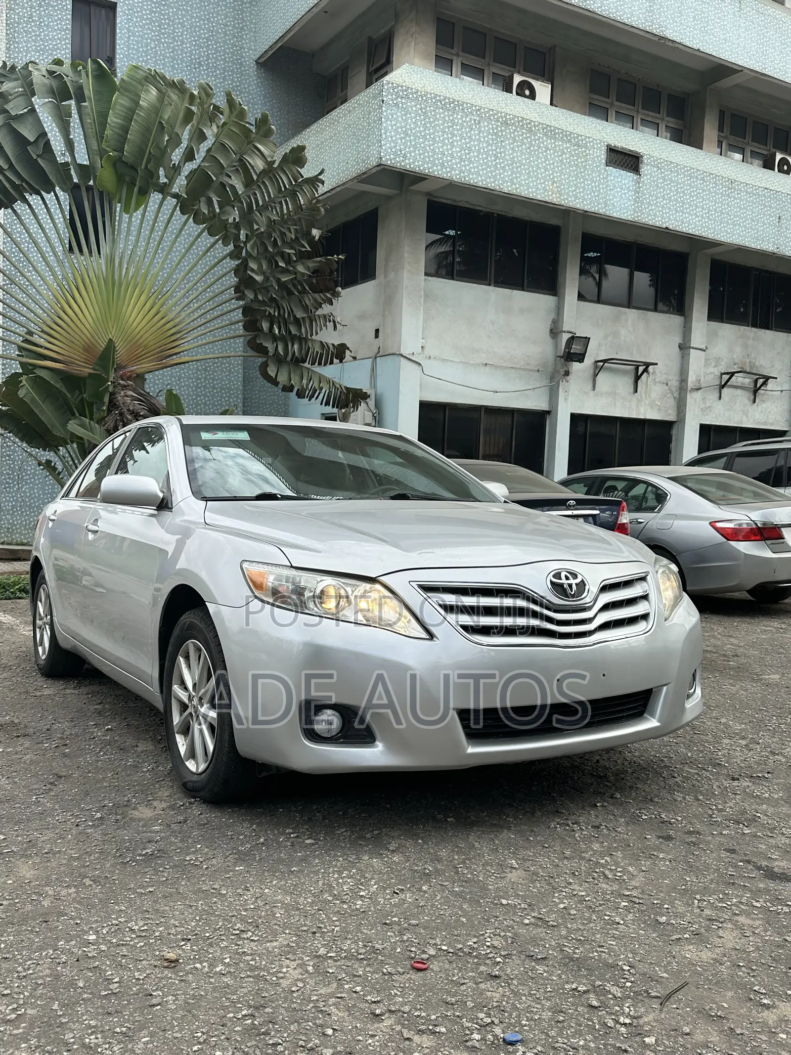 Toyota Camry XLE V6 4dr Sedan (3.5L 6cyl 6A) 2011 Silver