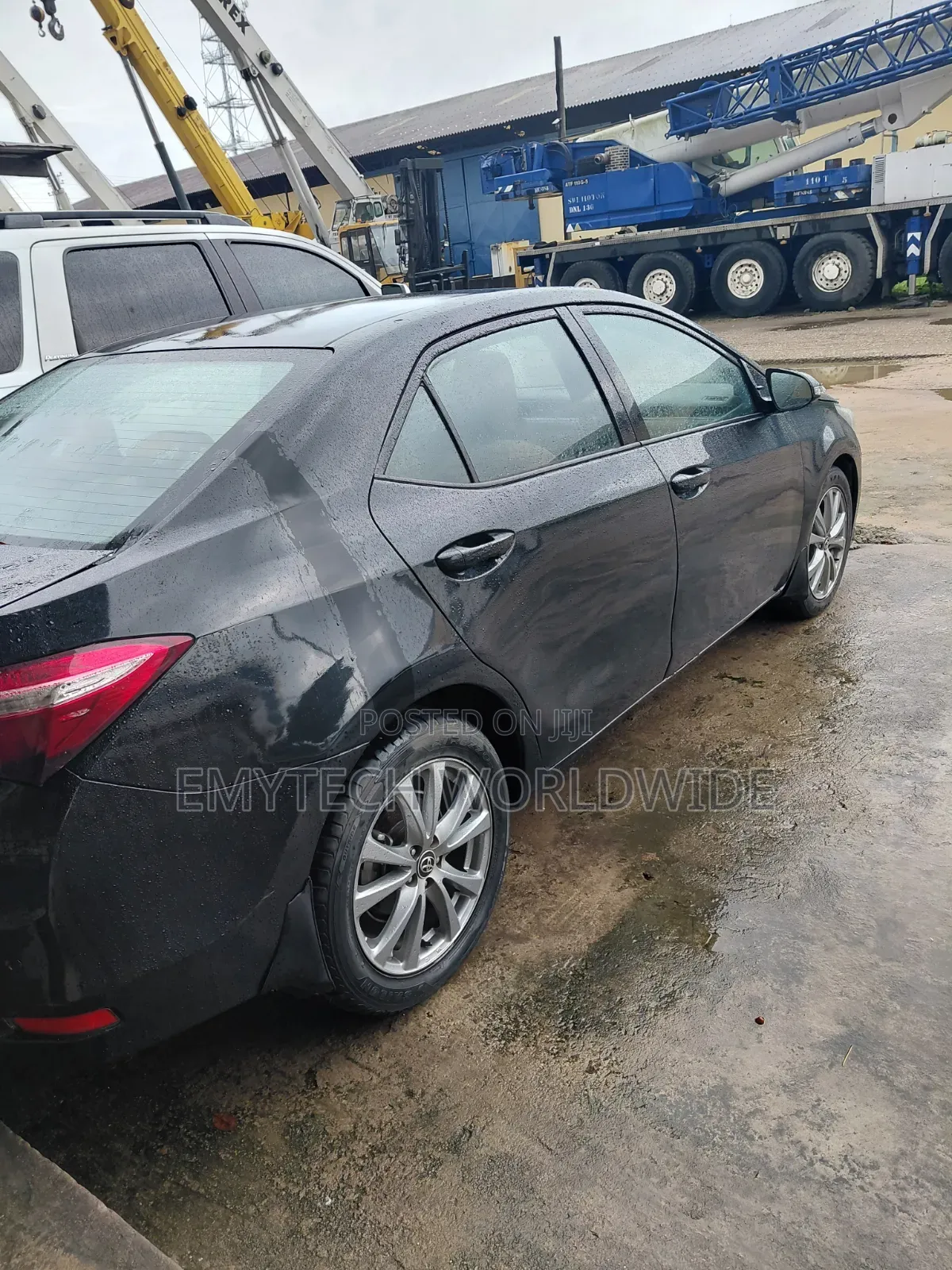 Company Used Corolla