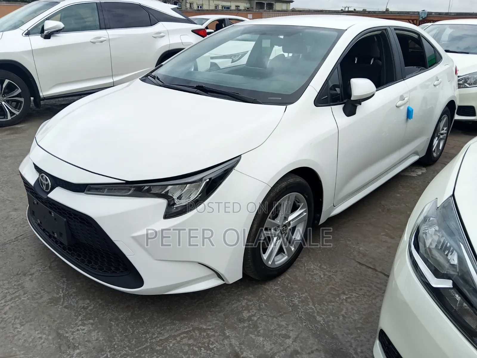 Toyota Corolla 2022 White
