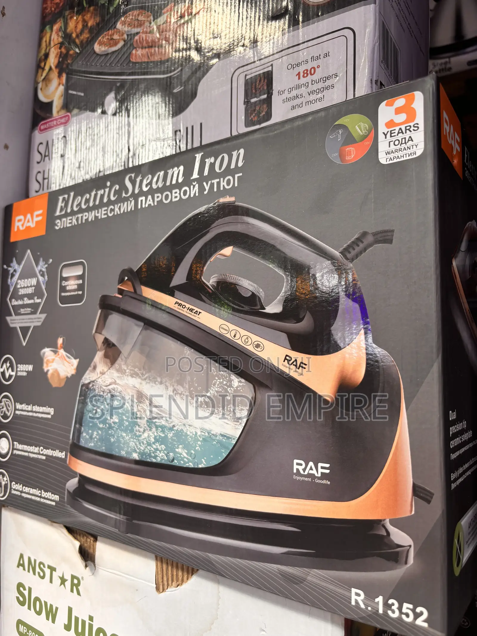 Electric Steam Iron