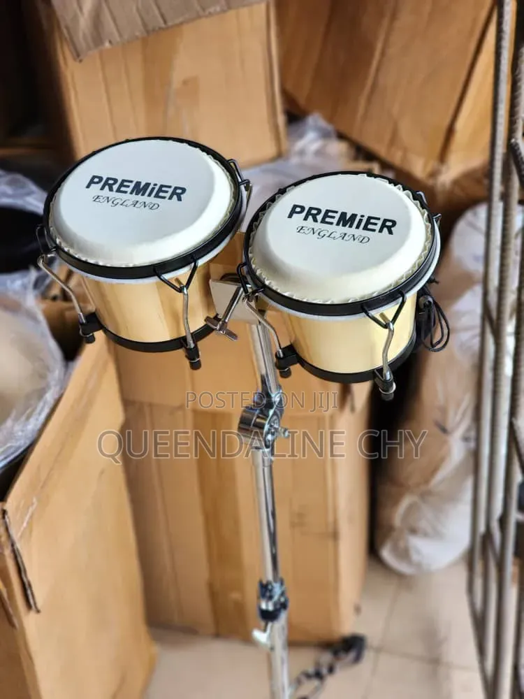 Bongo Drum
