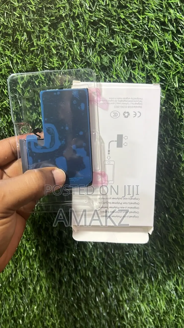 iPhone 13 Pro Max Battery