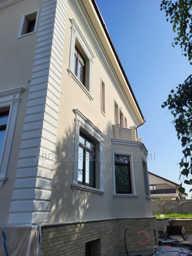 Professional House Painter and Wall Screeding