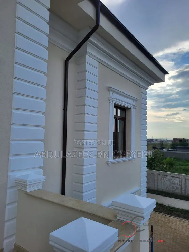 Professional House Painter and Wall Screeding