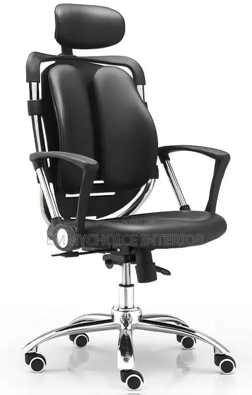 Ergonomic Executive Office Chair With Lumbar Support