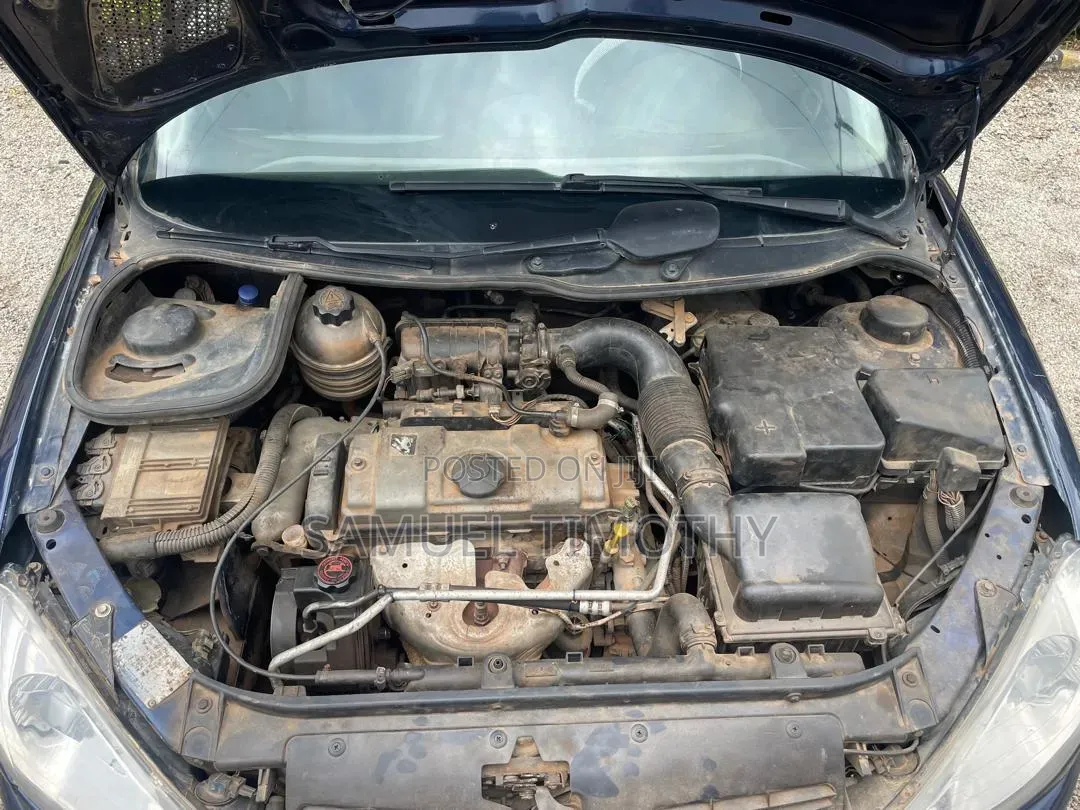 Peugeot 206 2004 Blue