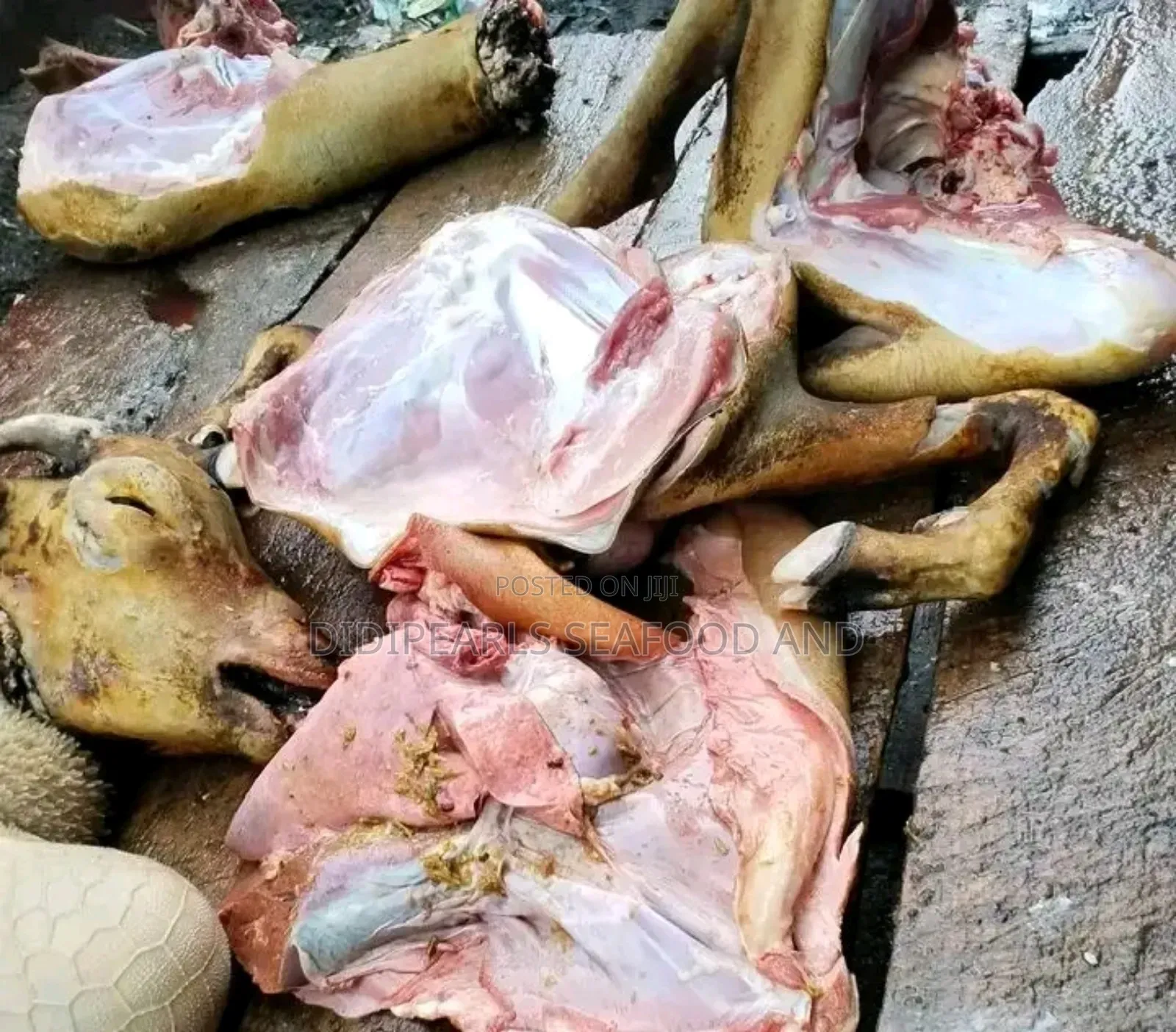 Fresh Goat Meat