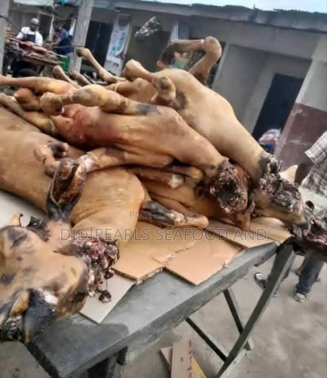 Fresh Goat Meat