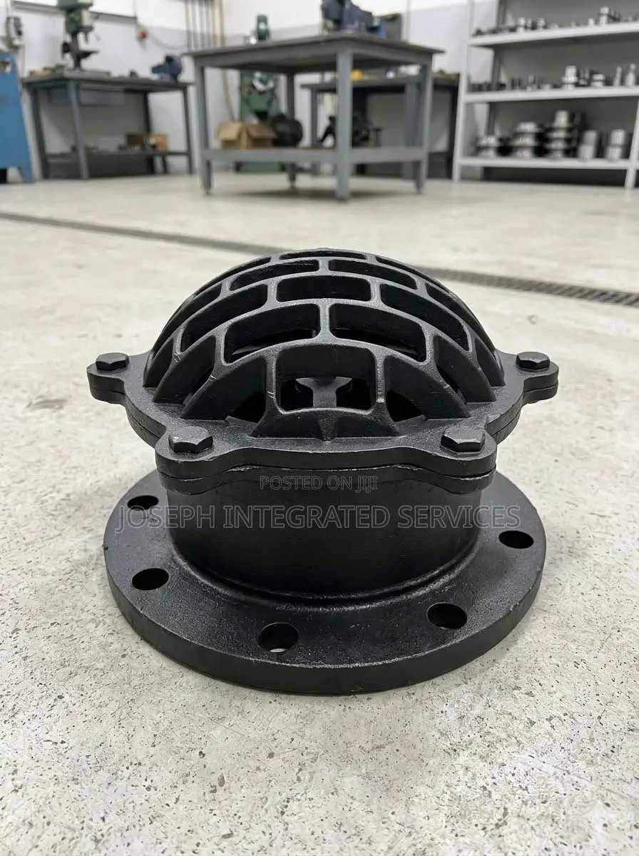 Heavy-Duty Cast Iron Flanged Foot Valve