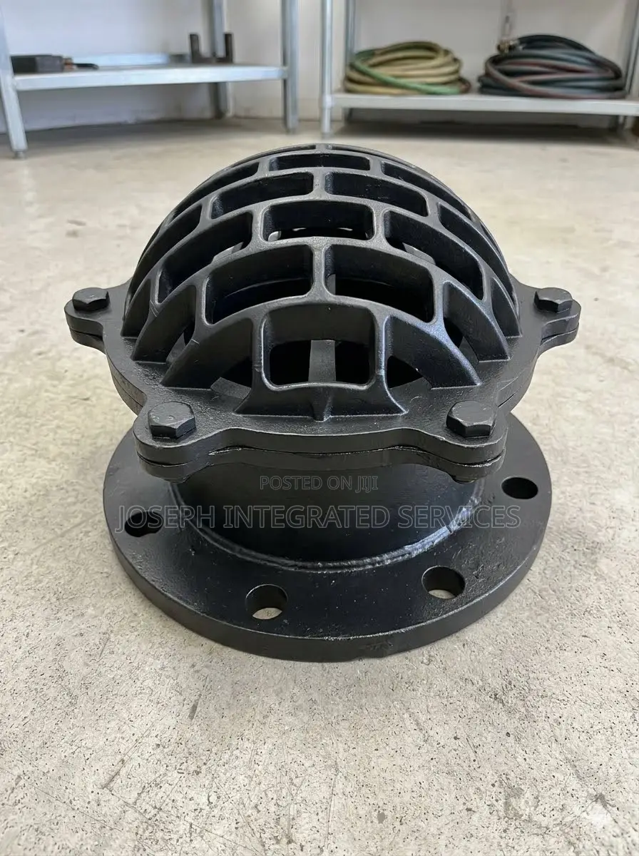 Heavy-Duty Cast Iron Flanged Foot Valve