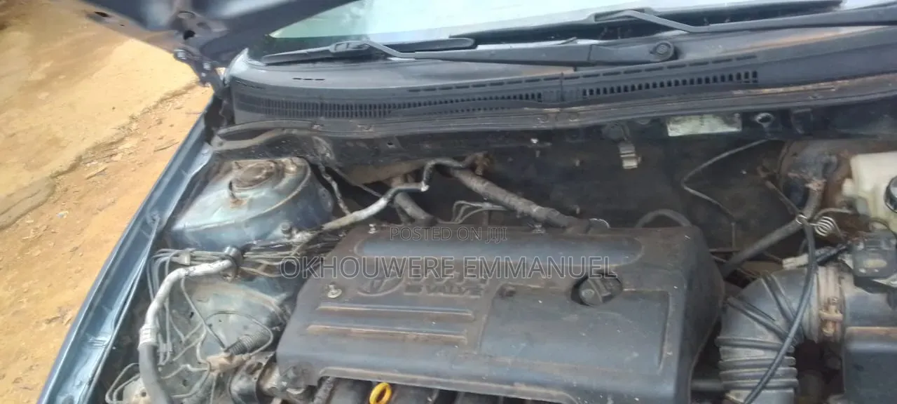 Toyota Corolla 2004 Gray