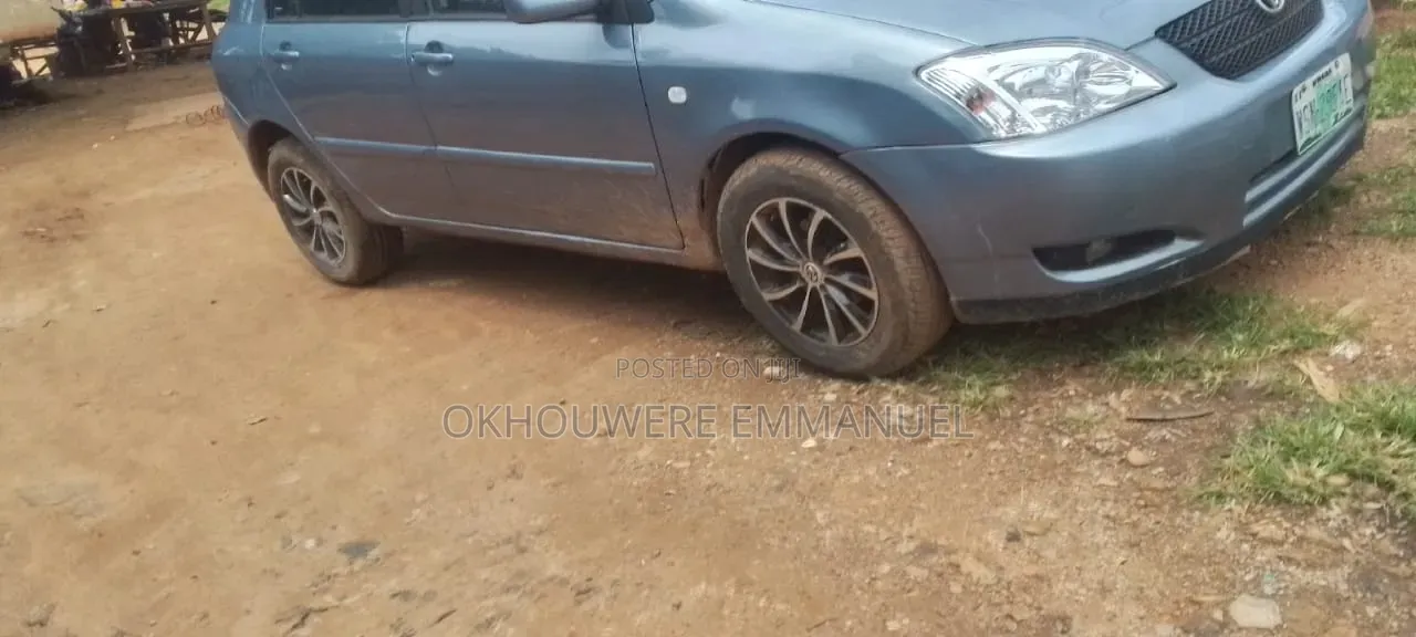 Toyota Corolla 2004 Gray