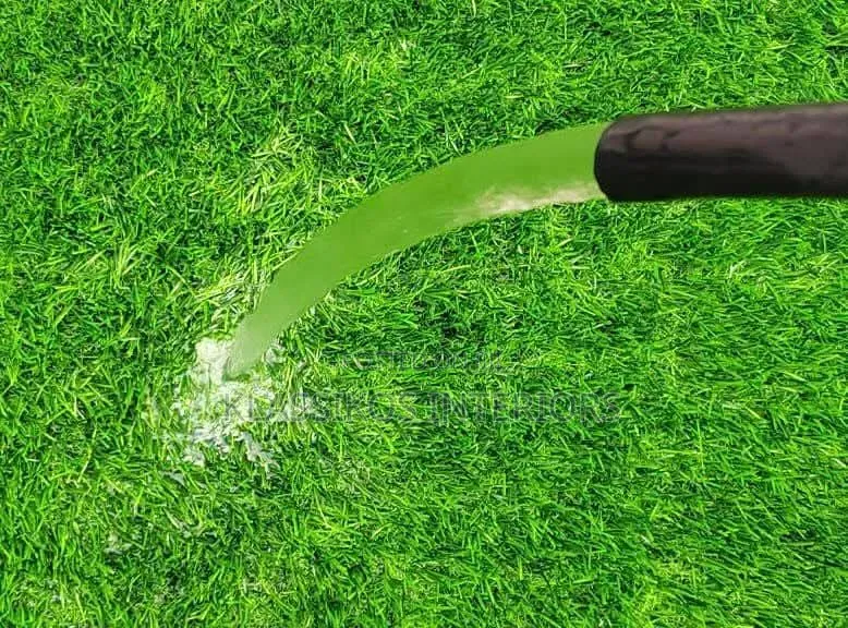 Carpet Grass in Abuja