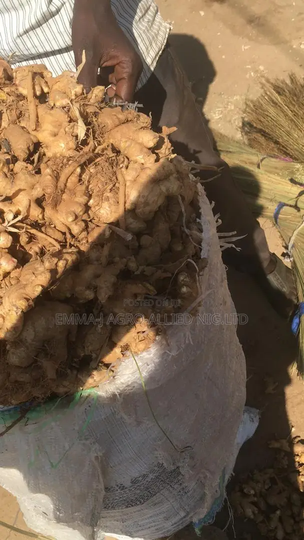 Fresh Ginger| Sourced Directly From the Farm